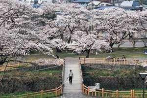 写真：鳥谷ヶ崎公園