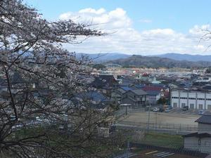写真：花巻神社の桜2