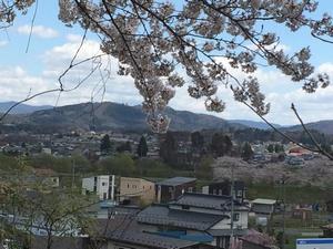 写真：鳥谷ケ崎神社の桜