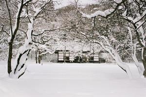 写真：高村山荘1