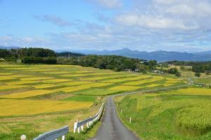 写真：幸田の棚田1