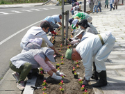 写真1：花壇活動