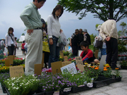 写真2：花と緑のまつり