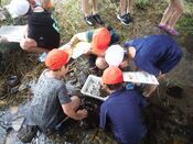 写真4：水生生物調査をする市民