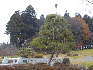 2022年11月23日撮影