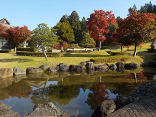 2023年11月2日撮影 紅葉