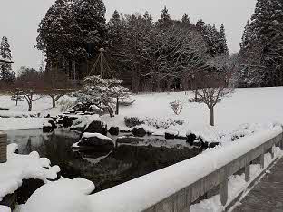 2024年2月22日撮影 雪景色