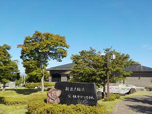2024年9月25日撮影