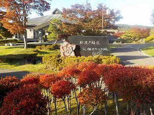 11月3日撮影 紅葉