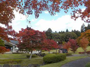 2025年11月2日撮影