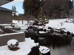 2025年12月5日撮影 雪景色