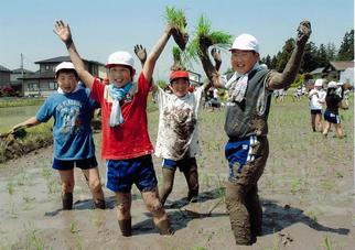 写真1：田んぼでばんざいをする子ども