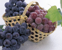 photograph：Grapes