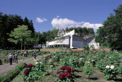 photograph：Polan Square Garden