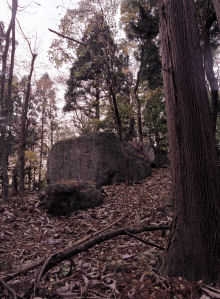 photograph：Niibori Castle Ruin