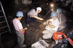 photograph：Abakuchi Cave