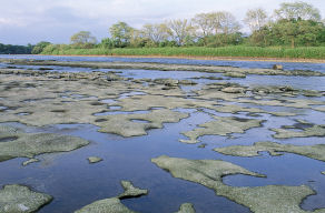 photograph：English Coast