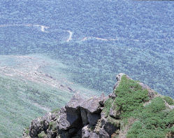 photograph：view from the top of the mountain