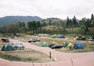 photograph：Lake Tase Auto Campground