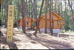 photograph：Totsukamori Forest Park