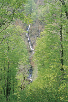 photograph：Ozora Falls