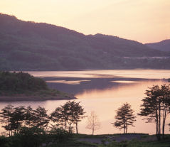 写真：田瀬湖