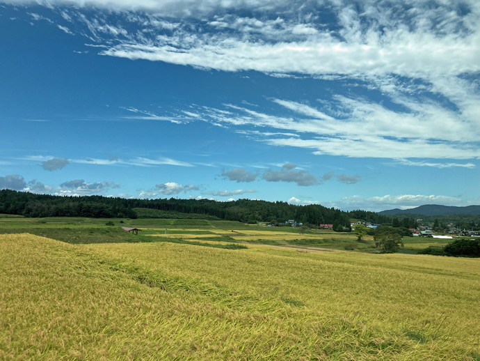 東和棚田のんびりRun-走らなくても楽しめました！