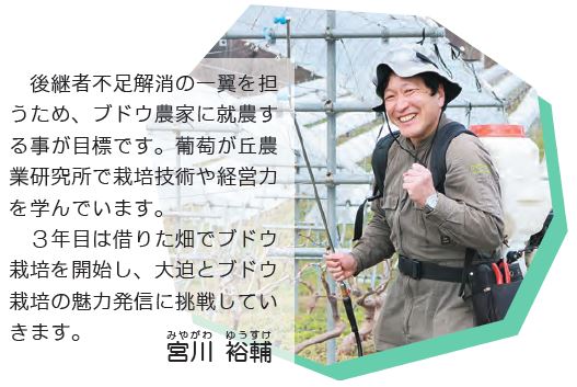 コメントと写真