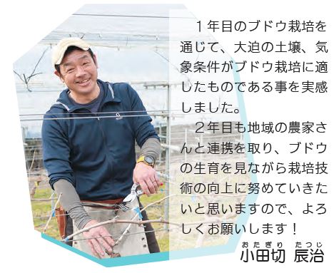 コメントと写真