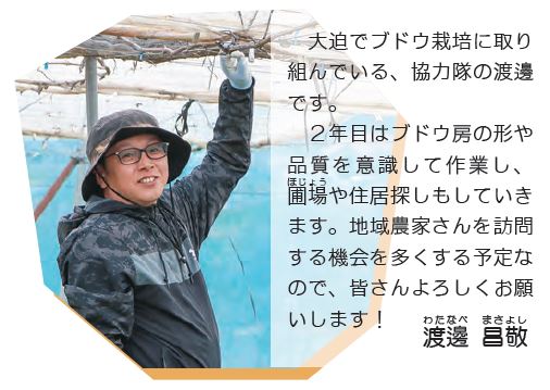 コメントと写真