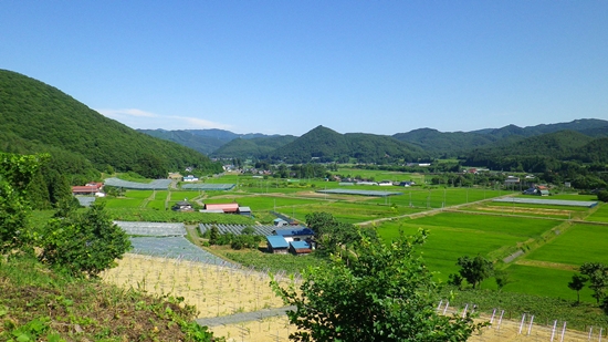 写真：野田から亀ケ森1区を望む景色