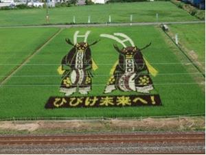 写真：八幡田んぼアート