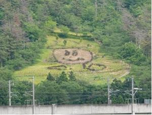 写真：まいたくんの花木アート