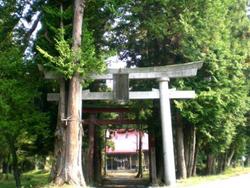写真：熊野神社