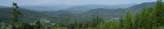 写真：横峰林道からの山の風景