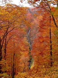 写真：大空滝遠景