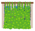 グリーンカーテンのイラスト