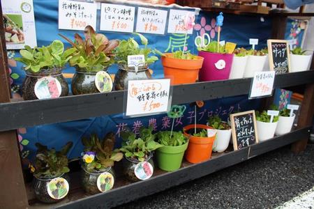 写真:アートクラフト春の様子3