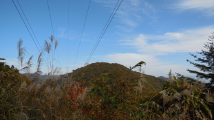 写真12：自然観察の様子