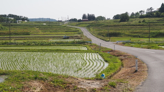 東和町 小山田周辺の棚田風景