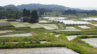 東和町 小山田周辺の棚田風景