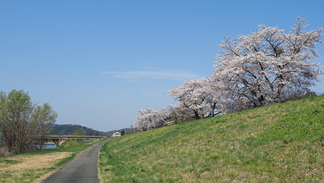 猿ケ石川河川敷