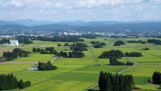 田園俯瞰(円万寺観音堂)