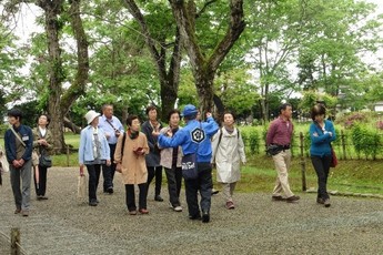 東和東部