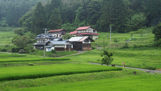 東和町安俵の田んぼに囲まれた民家。