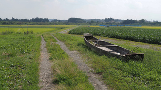 桜町の北上川畔の畑に置かれている、昔使ったと思われる渡し舟。