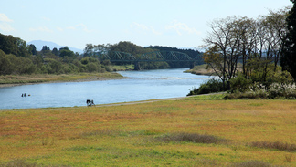 朝日橋とイギリス海岸間の広い河岸。