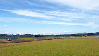 花巻矢沢稲刈りとはせがけの風景