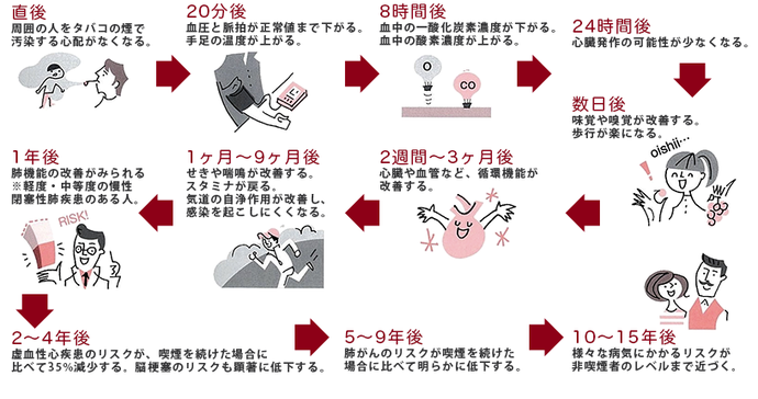 体に起こるプラスの変化の流れ