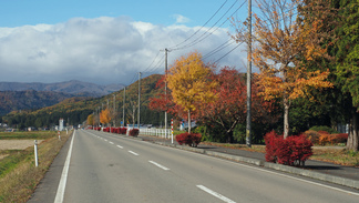 花巻市湯口円万寺の直線道路の風景